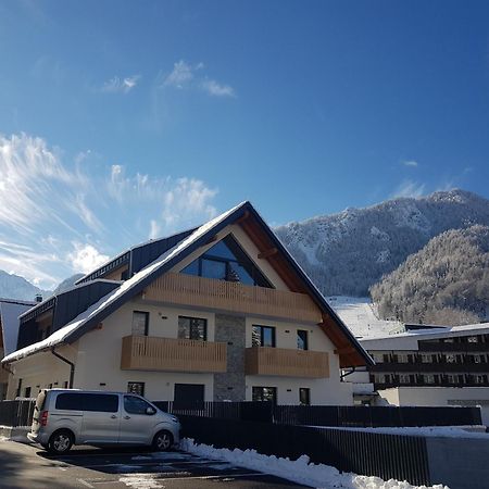 Vila Mojca Apartments Jasna & Jelka ครานสกา โกรา ภายนอก รูปภาพ