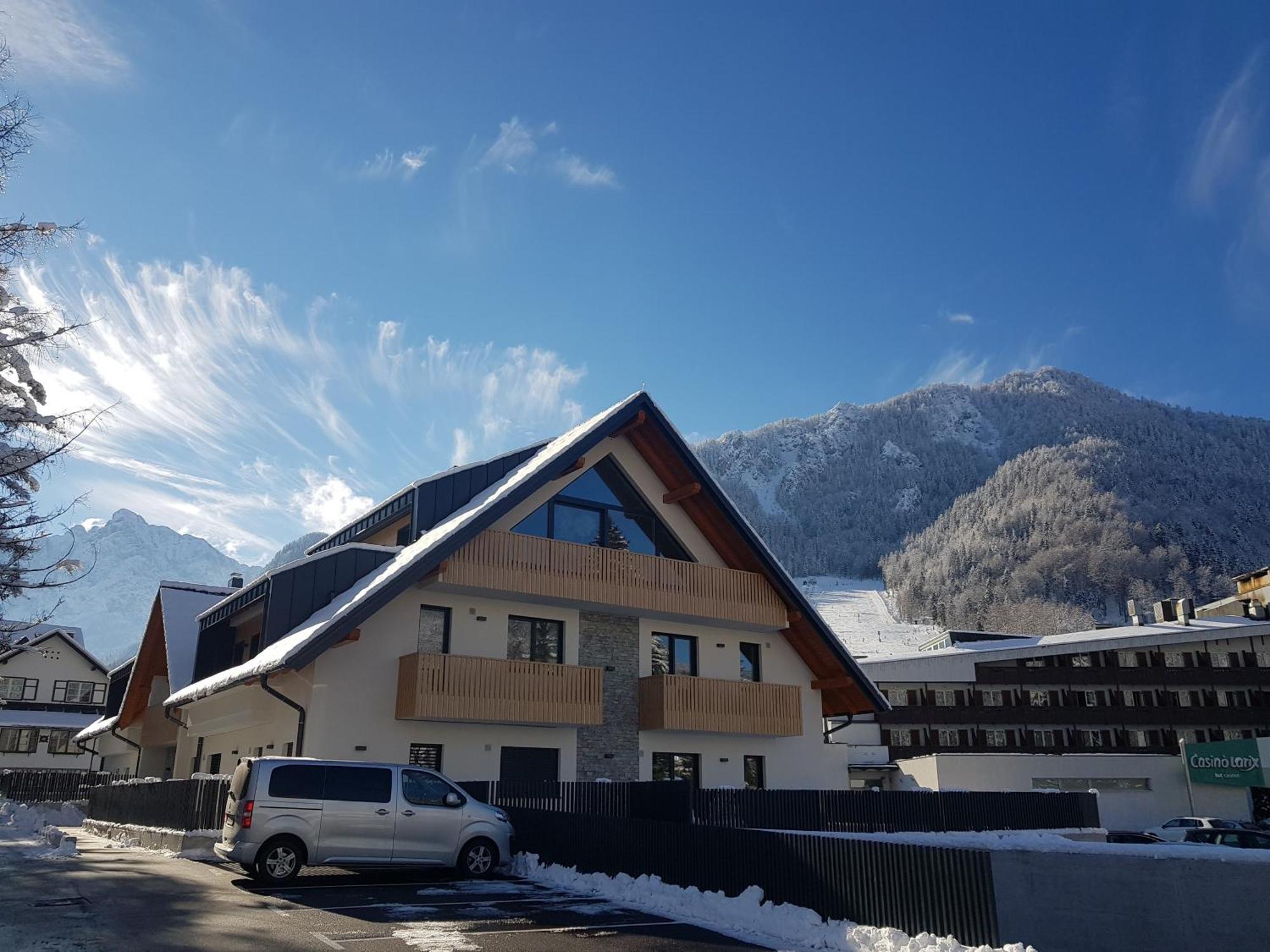 Vila Mojca Apartments Jasna & Jelka ครานสกา โกรา ภายนอก รูปภาพ